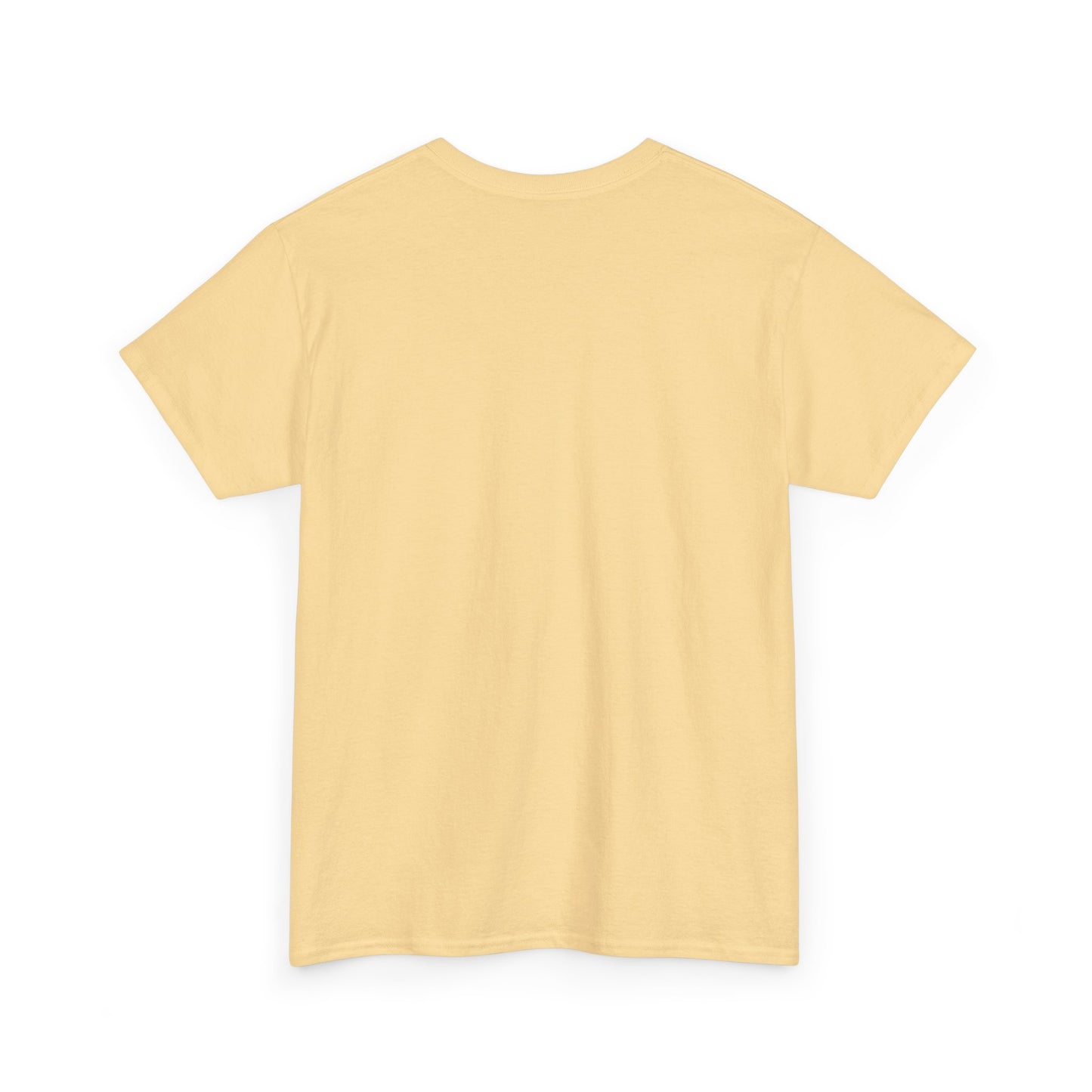 Swan Rainbow T-Shirt